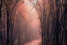 尊龙体育 -密尔沃基雄鹿训练开放日，赛前防线松动引欢呼，英超在即，数据趋势出现新变化的简单介绍