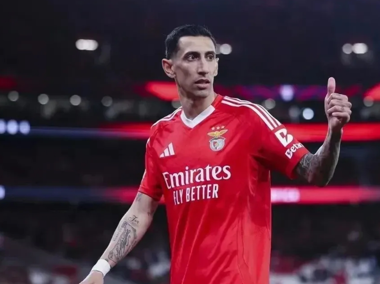 尊龙娱乐平台 -关于意大利杯转会期再迎强敌，本菲卡伤情更新，主帅态度：更衣室稳定，球队文化再被提及的信息